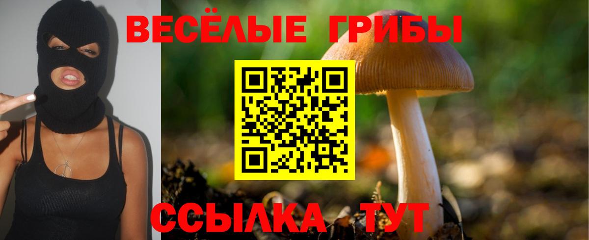 Галлюциногенные грибы Cubensis Брянск